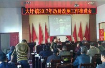2017年参加灵川县大圩镇改厕改厨推进会
